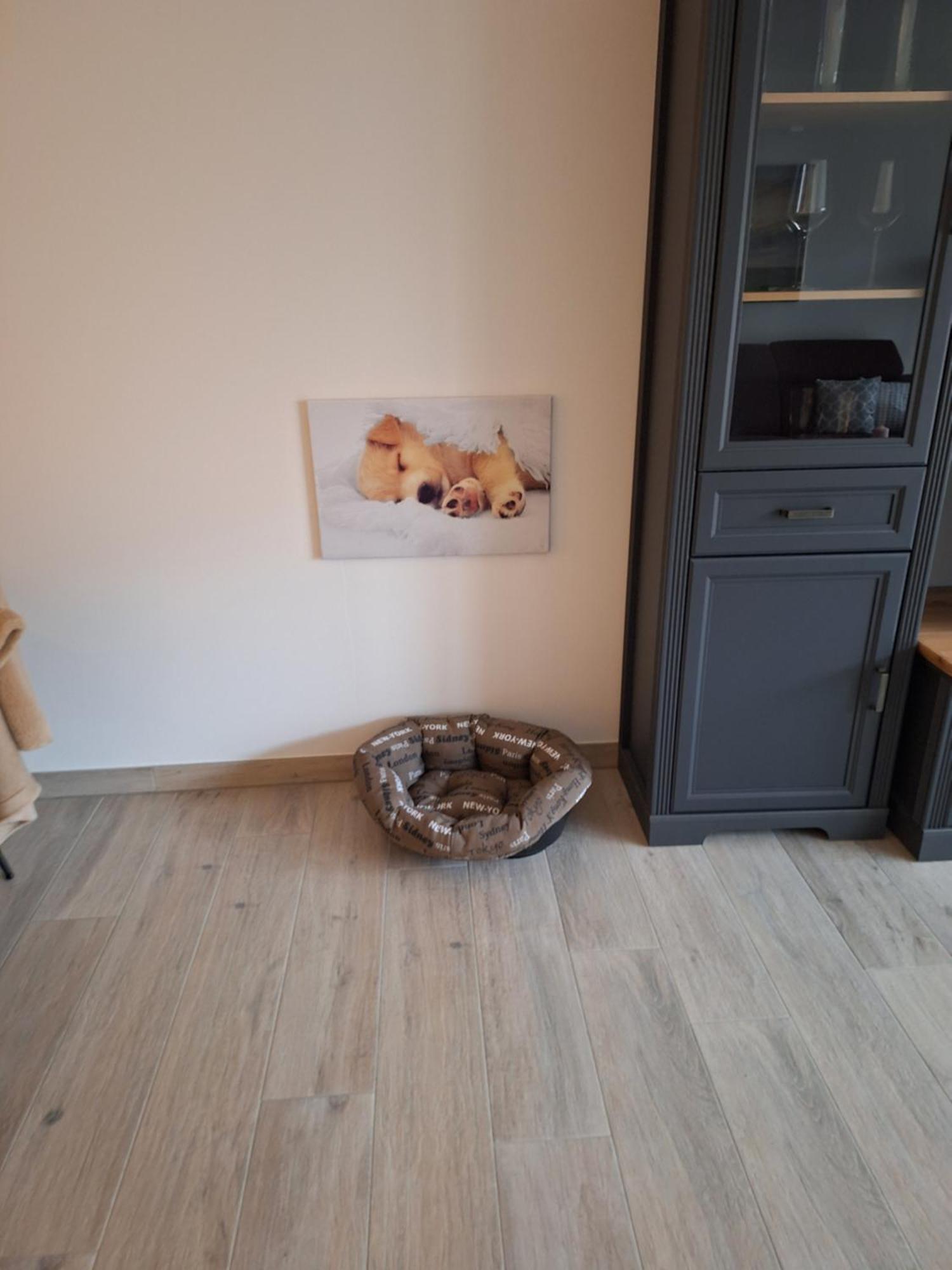 Apartment Annies Deichliebe Krummhörn المظهر الخارجي الصورة